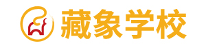 日韩逼逼视频